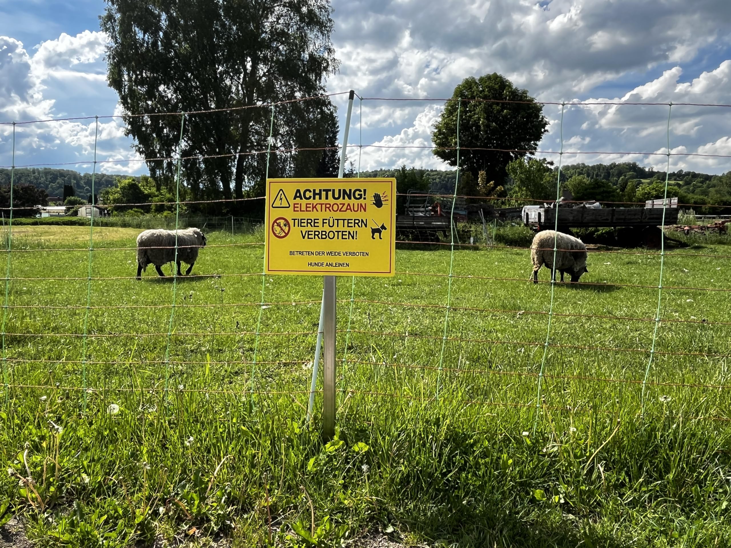 STROBO XXL Achtung ! Electric Fence Animals Feeding Willow No Bettering Sign 30 x 40 cm Made of Sturdy PVC Rigid Foam Board 5 mm with UV Protection Pack of 5 - Image 4