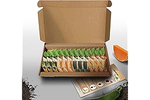Vegtrug Seed Pods Kit: Grow Your Own Snap EBT Eligible Live Plants and Trees