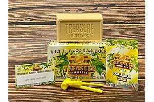 Treasure Hunters Gold Hunt Kit