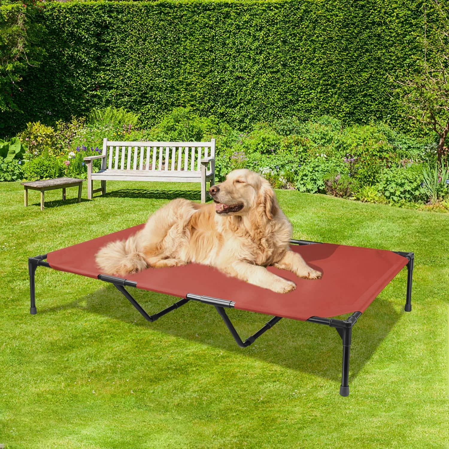 BABYLTRL Elevated Dog Bed Cot Raised Dog Bed for Extra