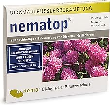nematop® HB Nematoden zur Bekämpfung des Dickmaulrüsslers - 50 Mio. für 100m²