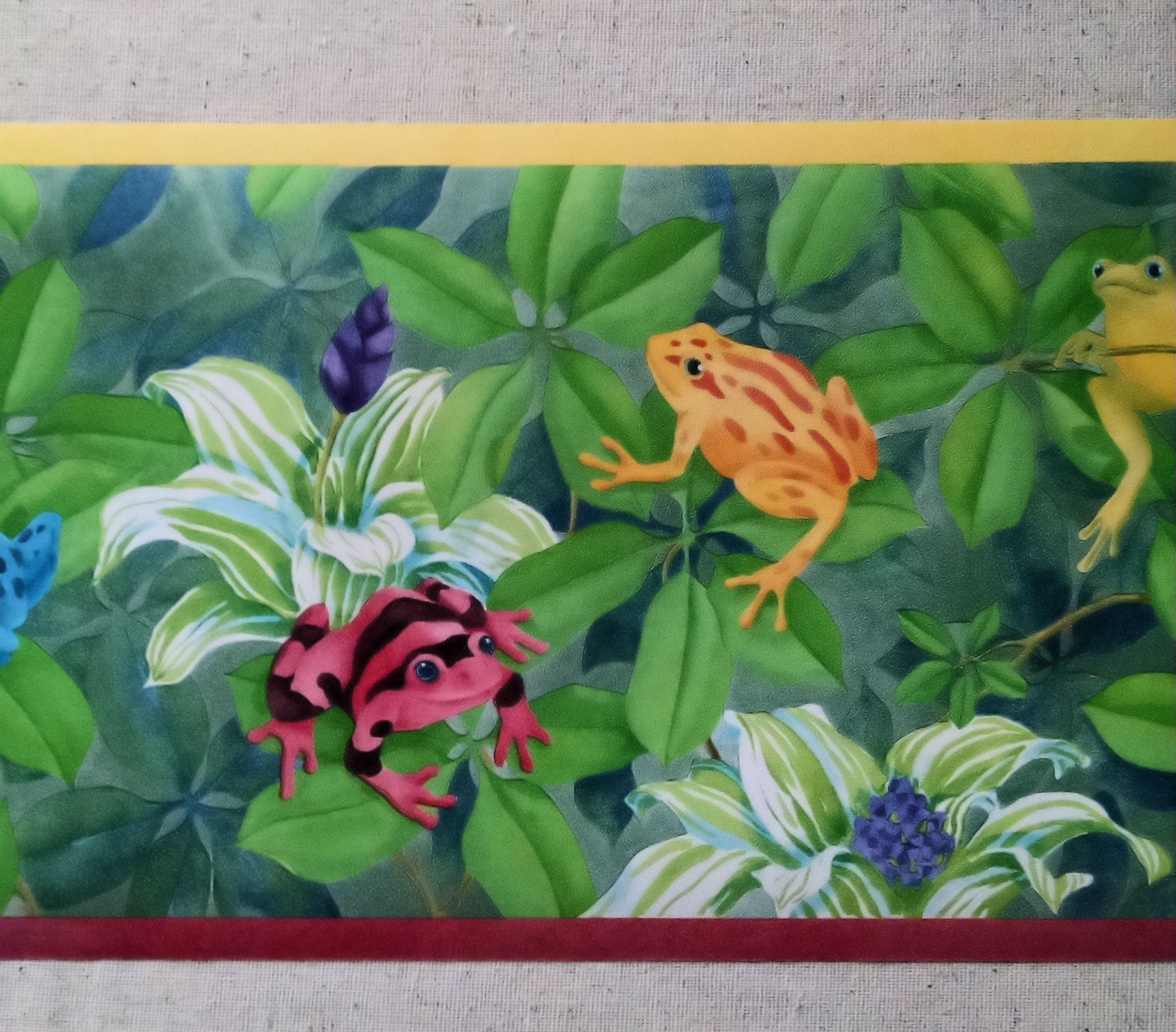 SEABROOKJungle Rain Forest Frogs Wallpaper Border CC810B