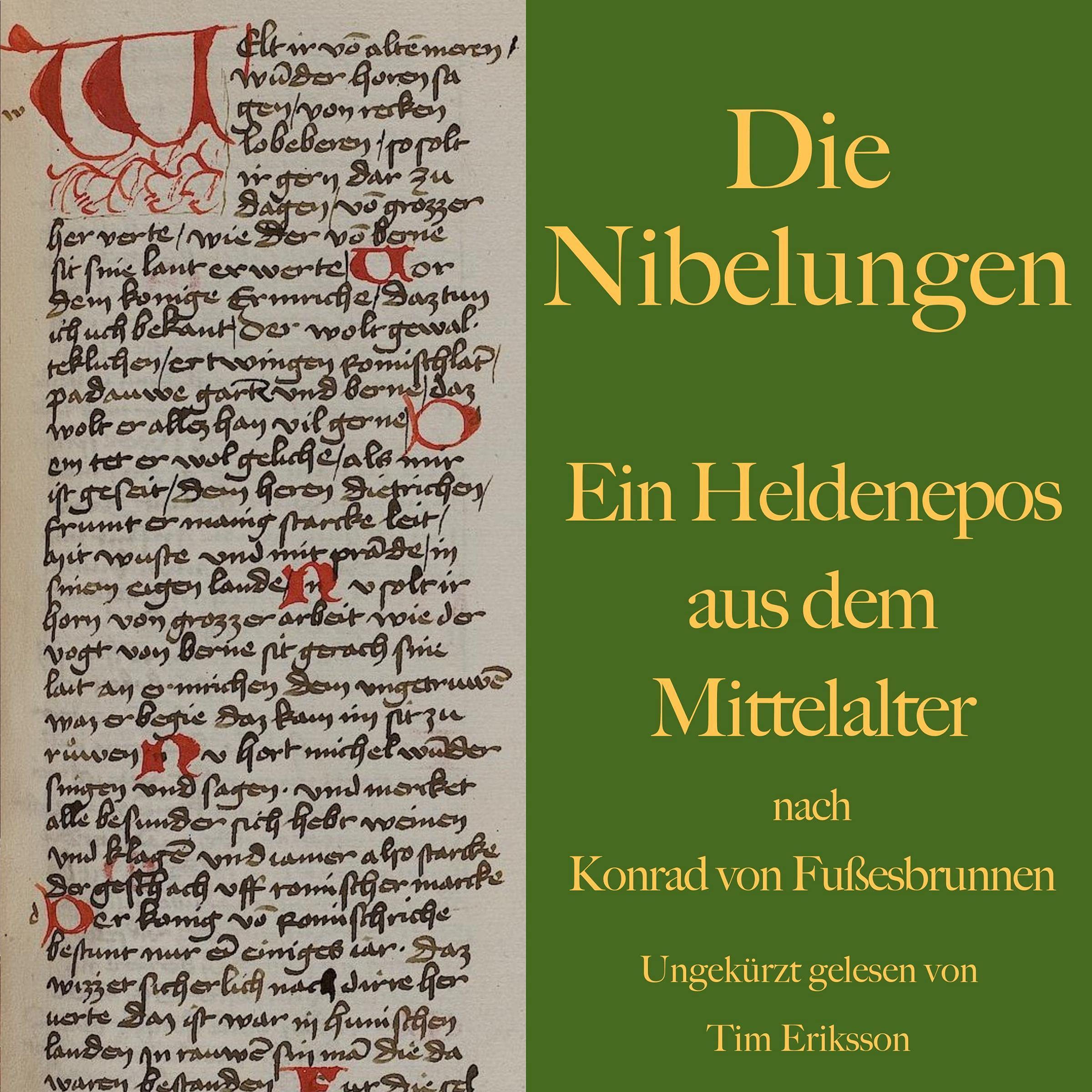 Cover art for Die Nibelungen