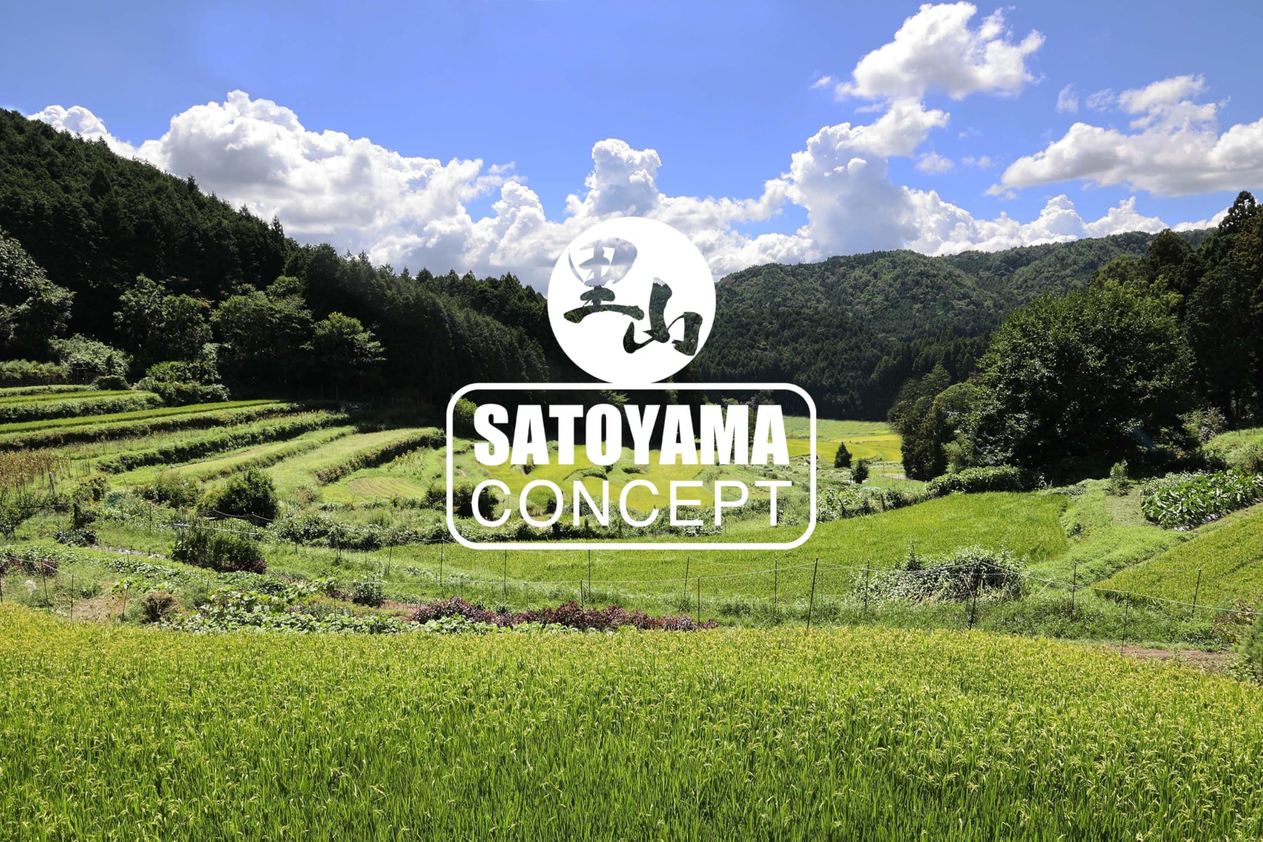 ホッツ 里山コンセプト タナゴ竿 SC140P ホッツ SATOYAMA タナゴ竿の通信販売