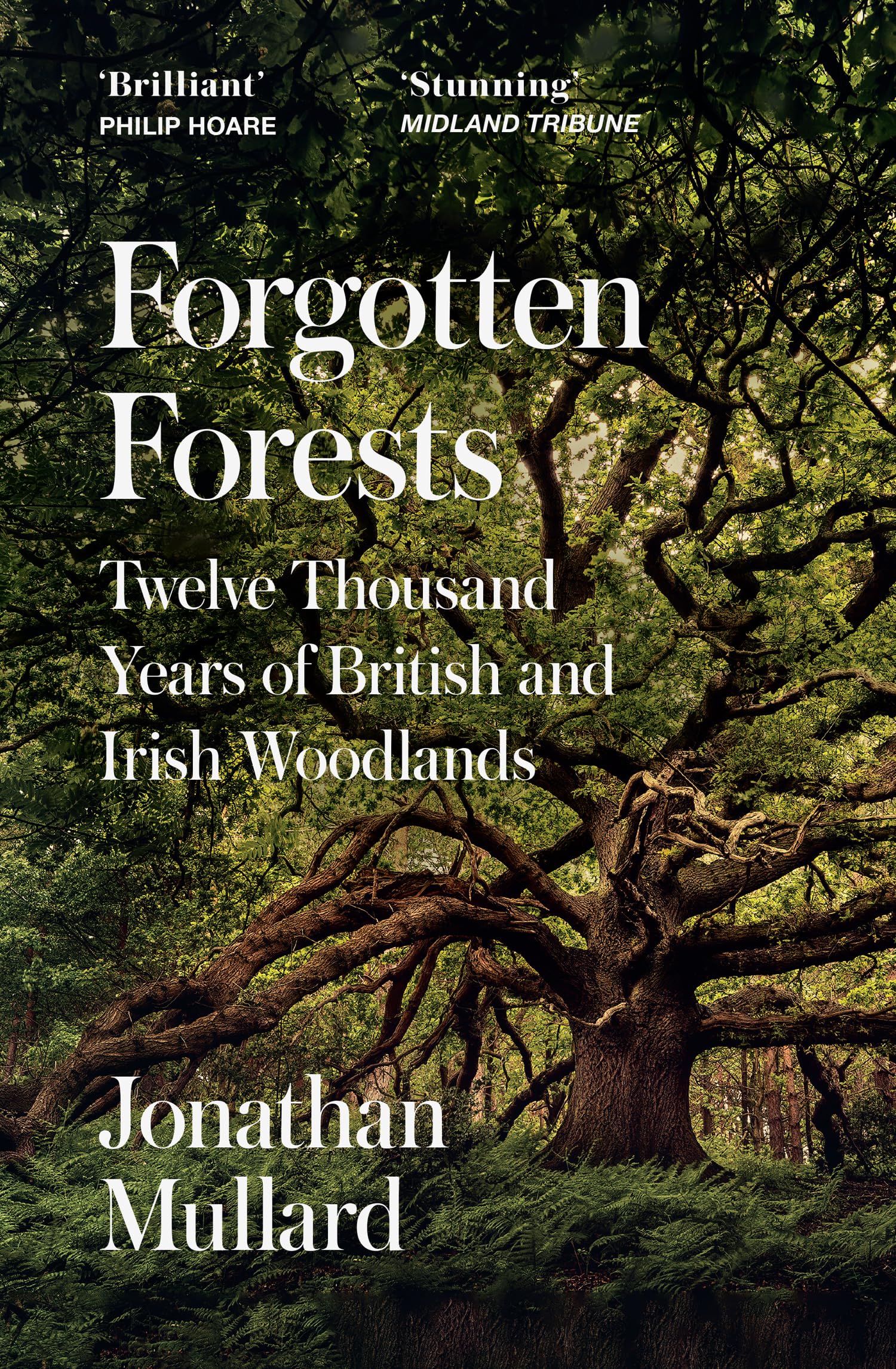 Forgotten Forests