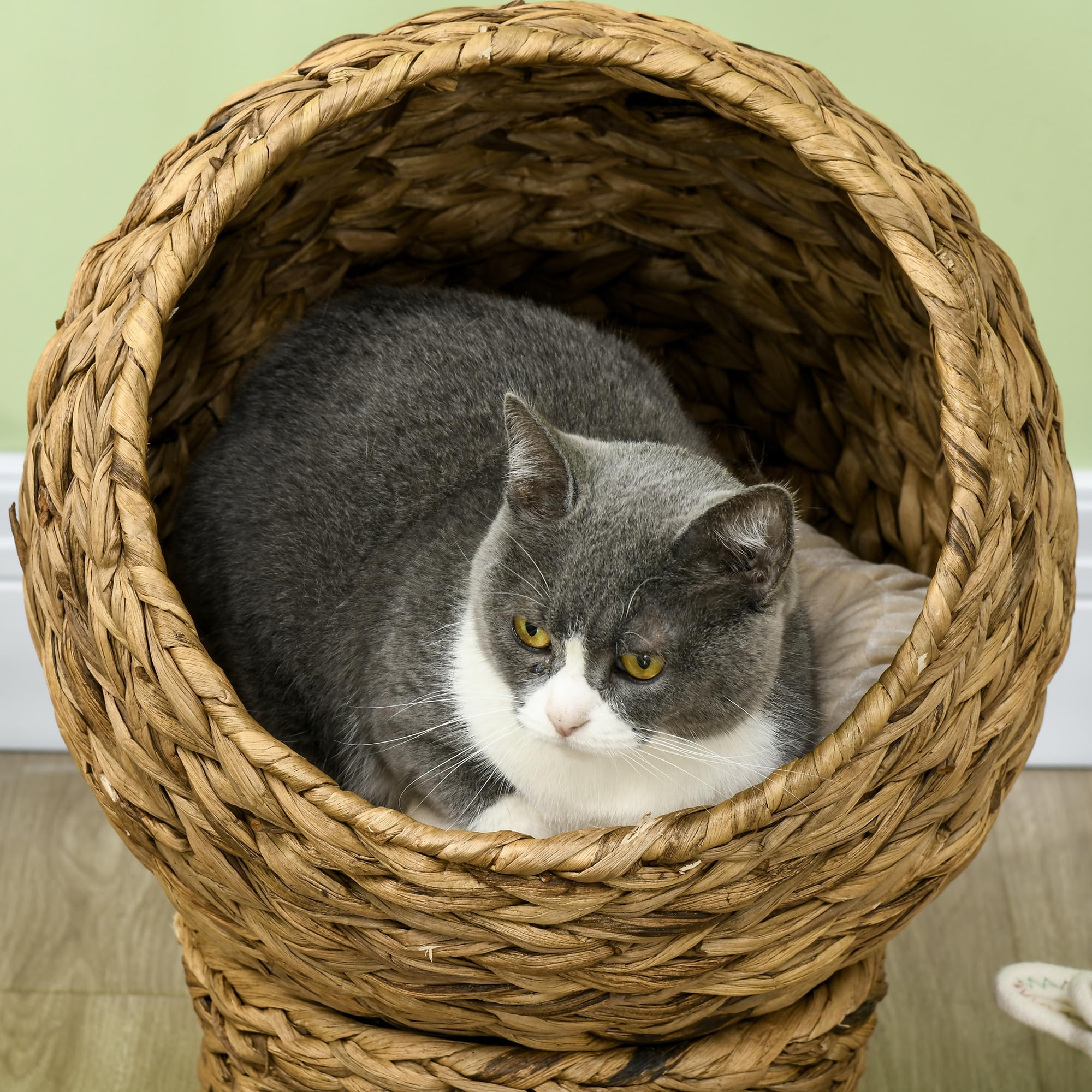 PawHut Panier Chat lit surélevé Chat Cosy Niche Grotte à Chat Grand Confort dim. 42L x 33l x 52H cm Coussin Moelleux Beige Inclus