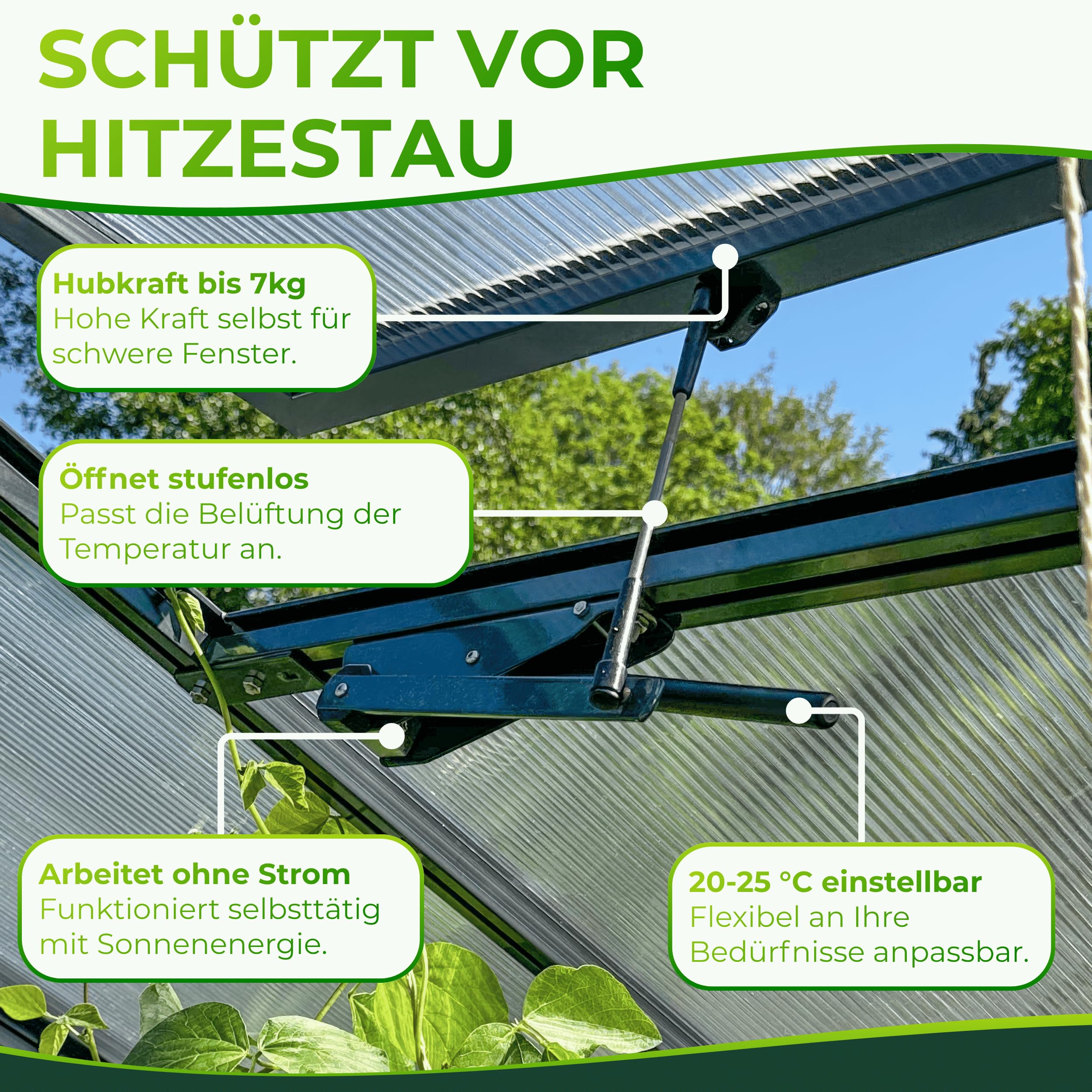 Beckmann automatischer Fensteröffner Gewächshaus ohne Strom Fensterheber ÖFA [7kg Hubkraft] Anthrazit I für Dachfenster I Gewächshaus Zubehör I Gewächshausfensteröffner I Fenster Öffner I automatisch
