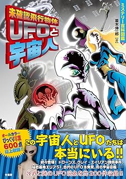 宇宙人 2Dカイト UFO 宇宙人 | 株式会社池田工業社