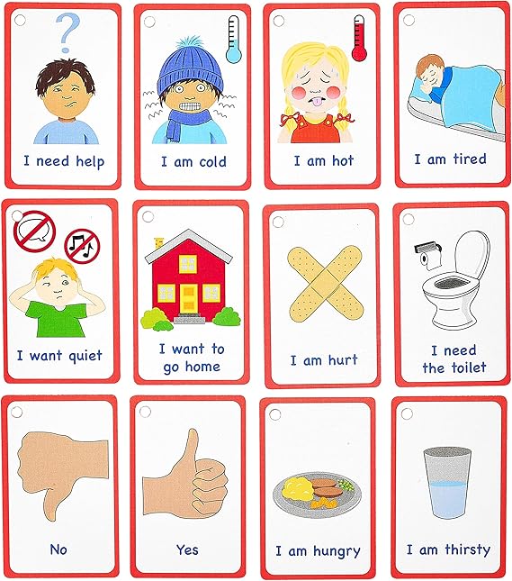 My Essential Needs Cards 12 Flash Cards for Visual aid