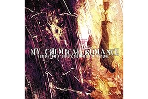 I Brought You My Bullets, You Brought Me Your Love