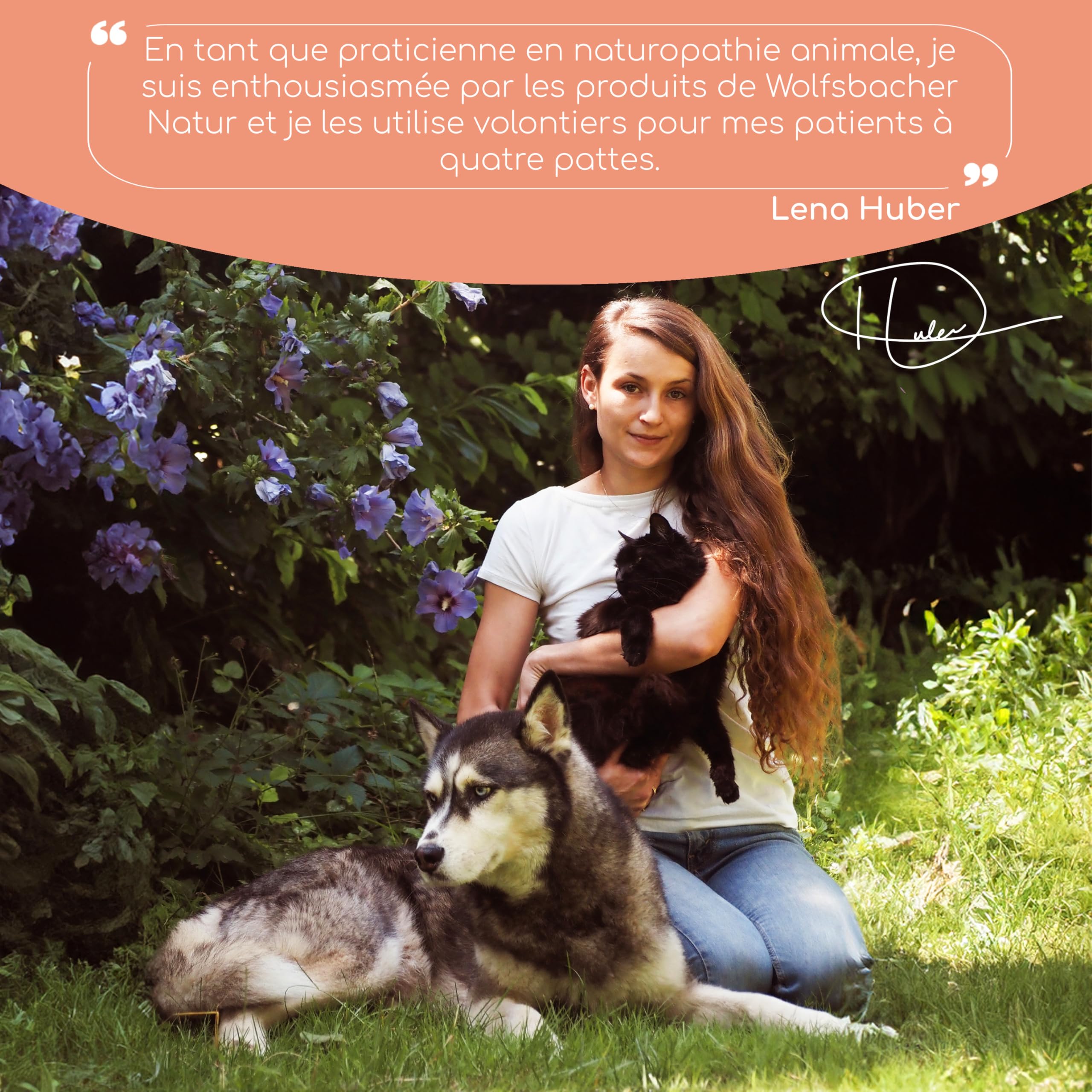 Huile de Saumon pour Chats avec Oméga 3 & 6 | 100ml Huile de Saumon Norvégien Naturelle de l'Atlantique | Complément Hautement Dosé pour Chats