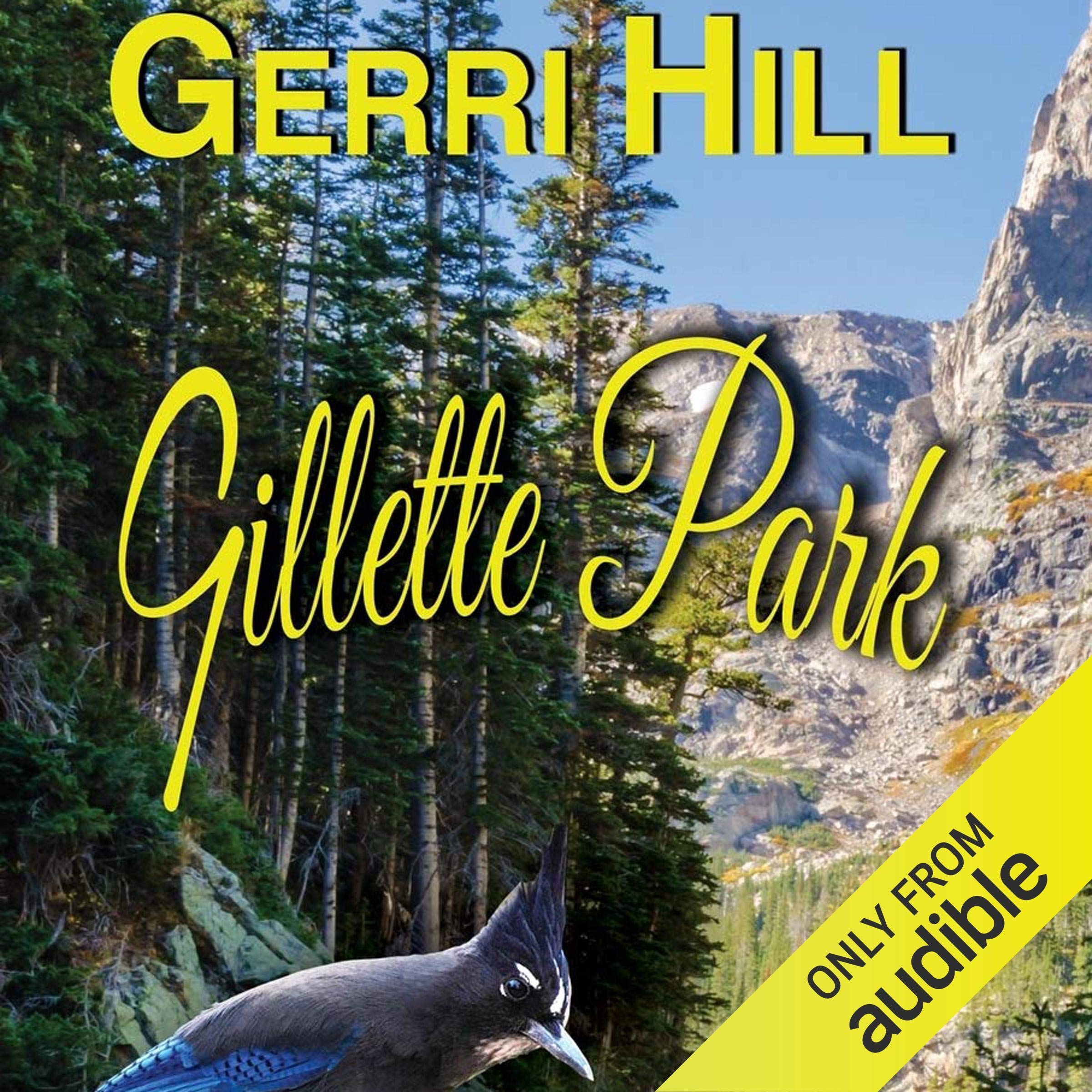 Cover art for Gillette Park