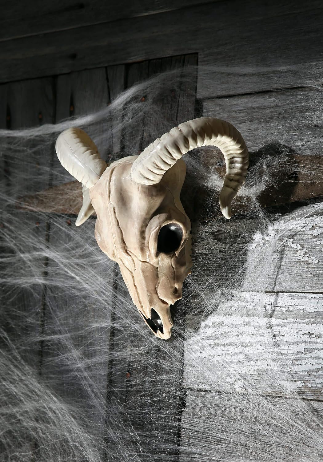 Crazy Bonez - Ram Skull
