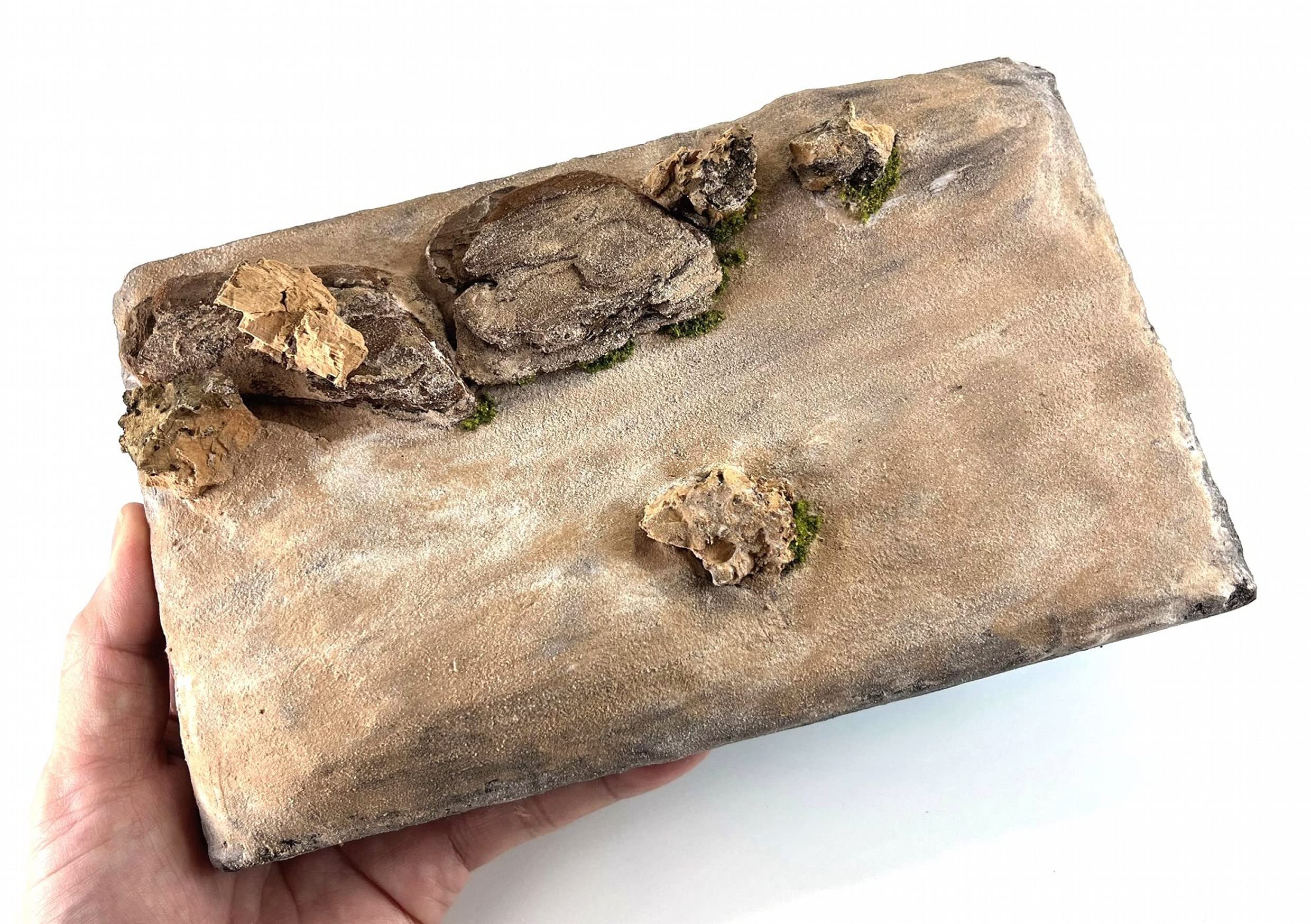 Amazon.co.jp: セガワモデリング(Segawa Modeling) 大きな砂漠