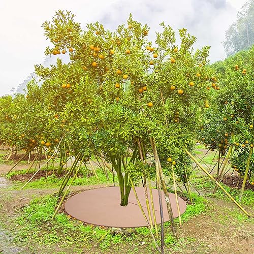 Miniatura 6 de 8 piezas de 32.2 pulgadas de anillo de mantillo de árbol no tejido grueso protector de árbol reutilizable de tela redonda barrera de raíz de árbol,