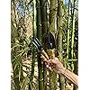 Product Photo 6