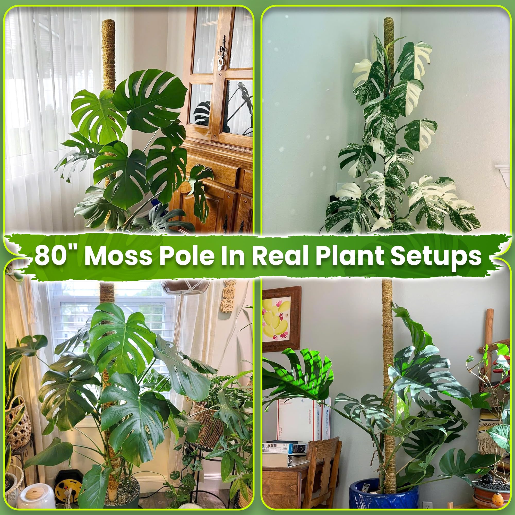 DUSPRO Große Moosstange für Pflanzen, Monstera, Pflanzstäbe für Zimmerpflanzen, Monstera-Pflanzenstütze, Pflanzenstütze/Pflanzenstange für große Kletterpflanzen im Innenbereich (1 Stück, 203 cm)