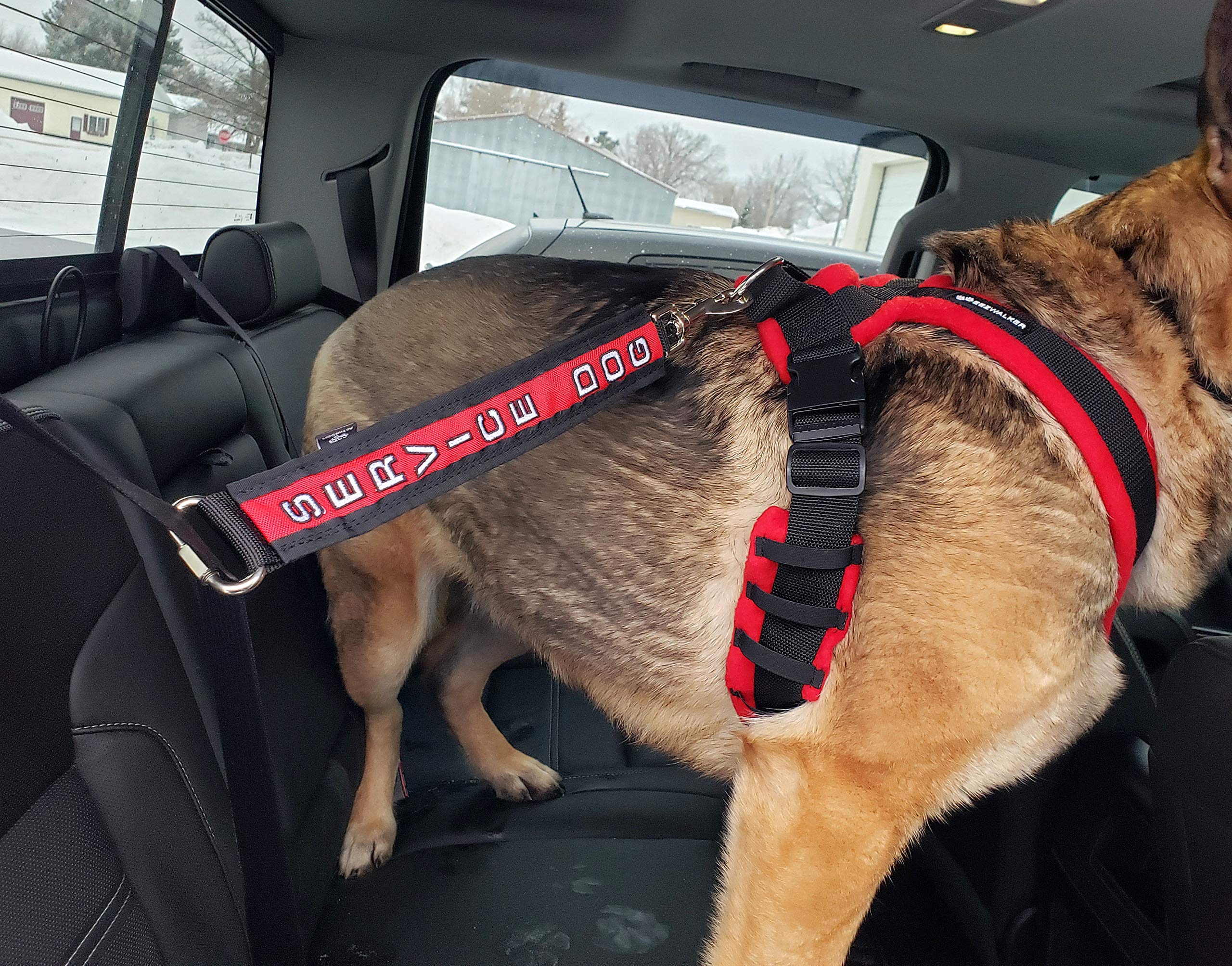 Do Dog Seat Belts Work