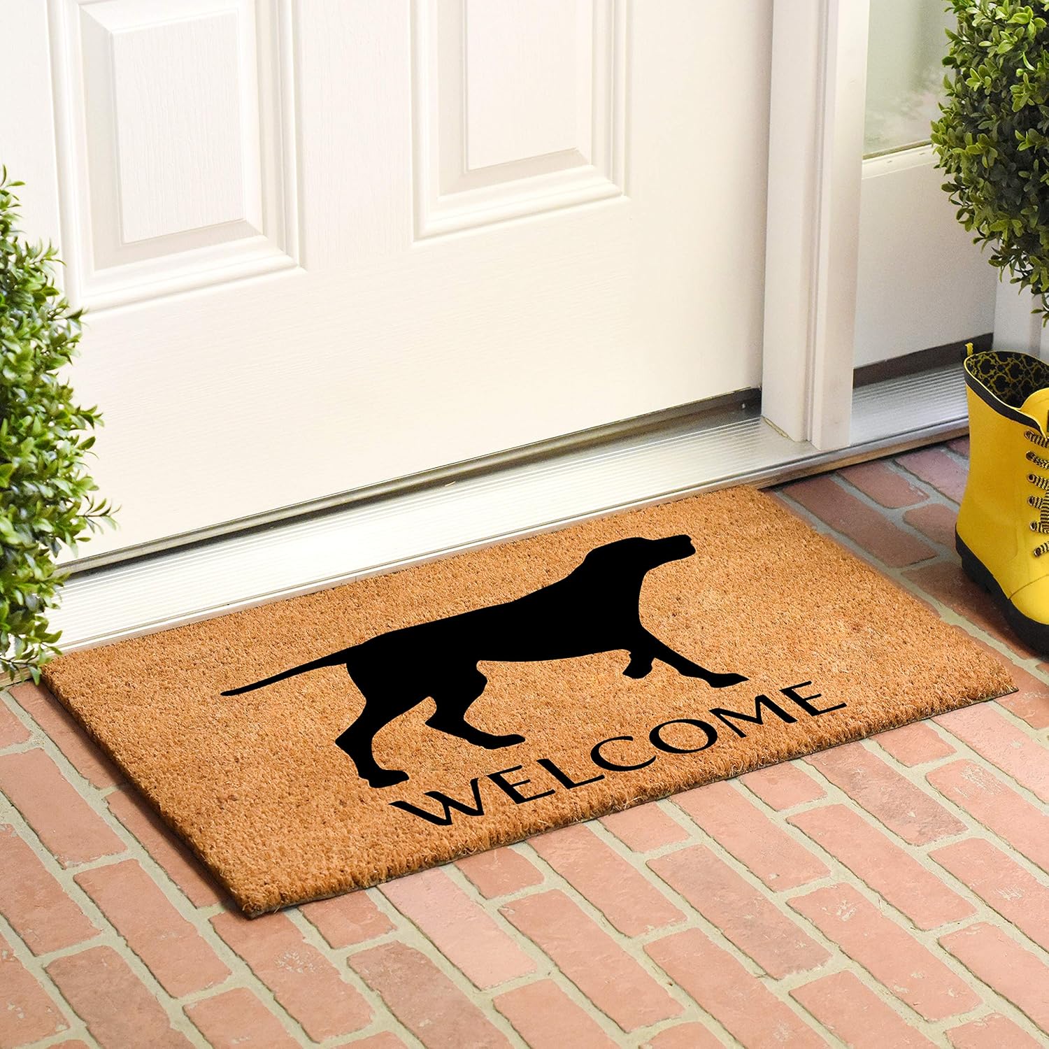 Calloway Mills AZ105541729 Pointer German Shorthaired Doormat, 17" x 29", Natural/Black