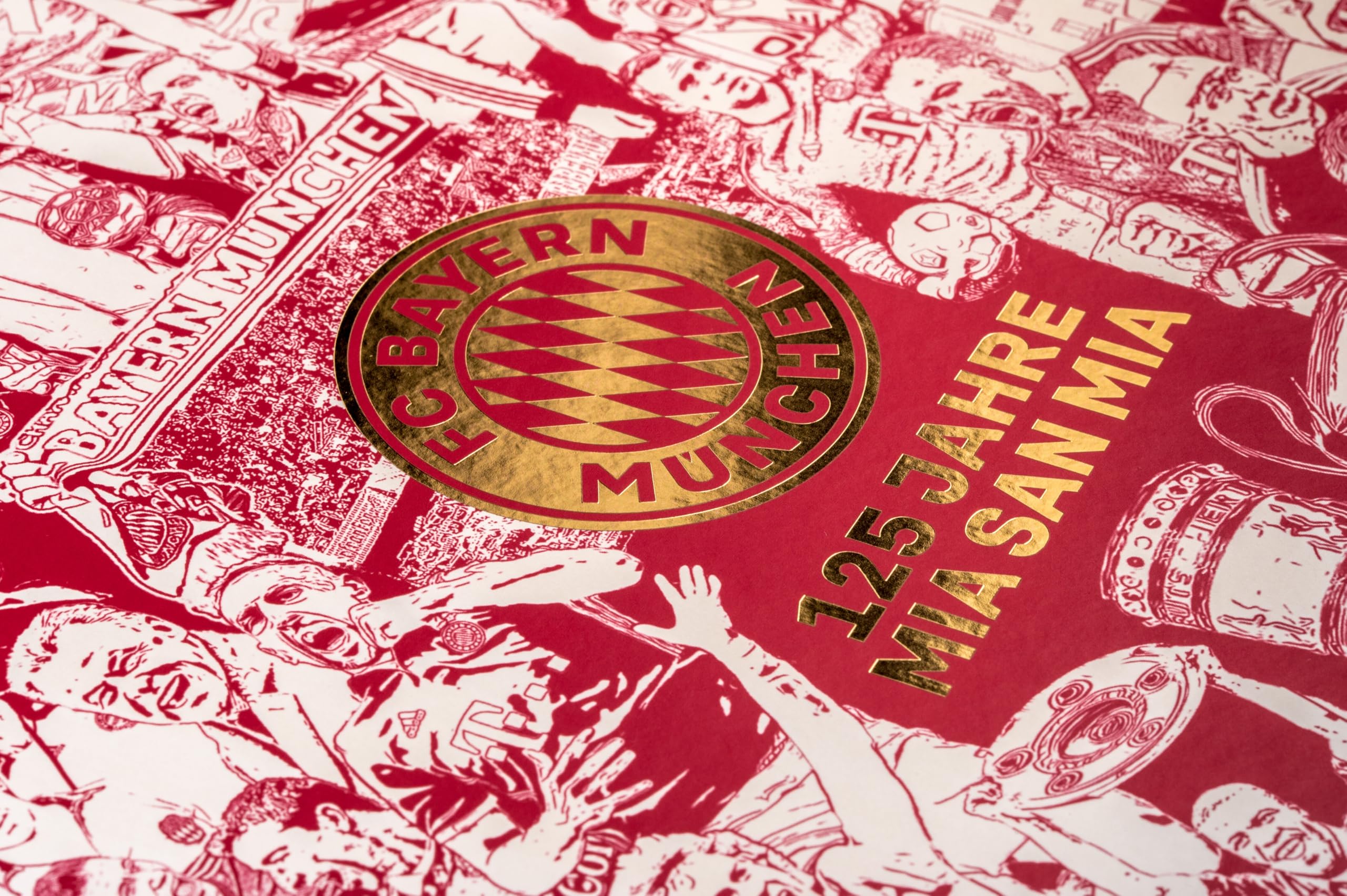 FC Bayern München: 125 Jahre Mia San Mia: Offizieller Bildband zur Geschichte des Vereins. Einzigartige Einblicke und besondere Momente aus 125 Jahren