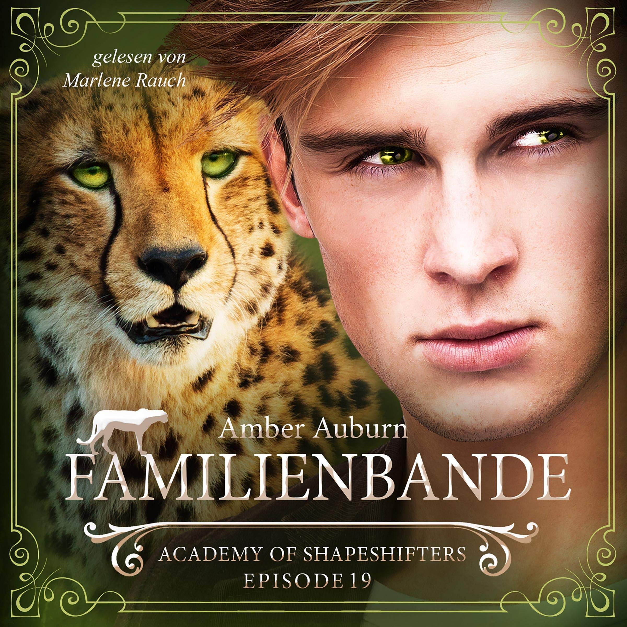 Cover art for Familienbande: Academy of Shapeshifters 19