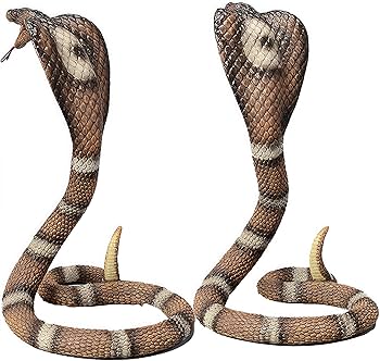 91PcB4mUqjL._AC_UF350,