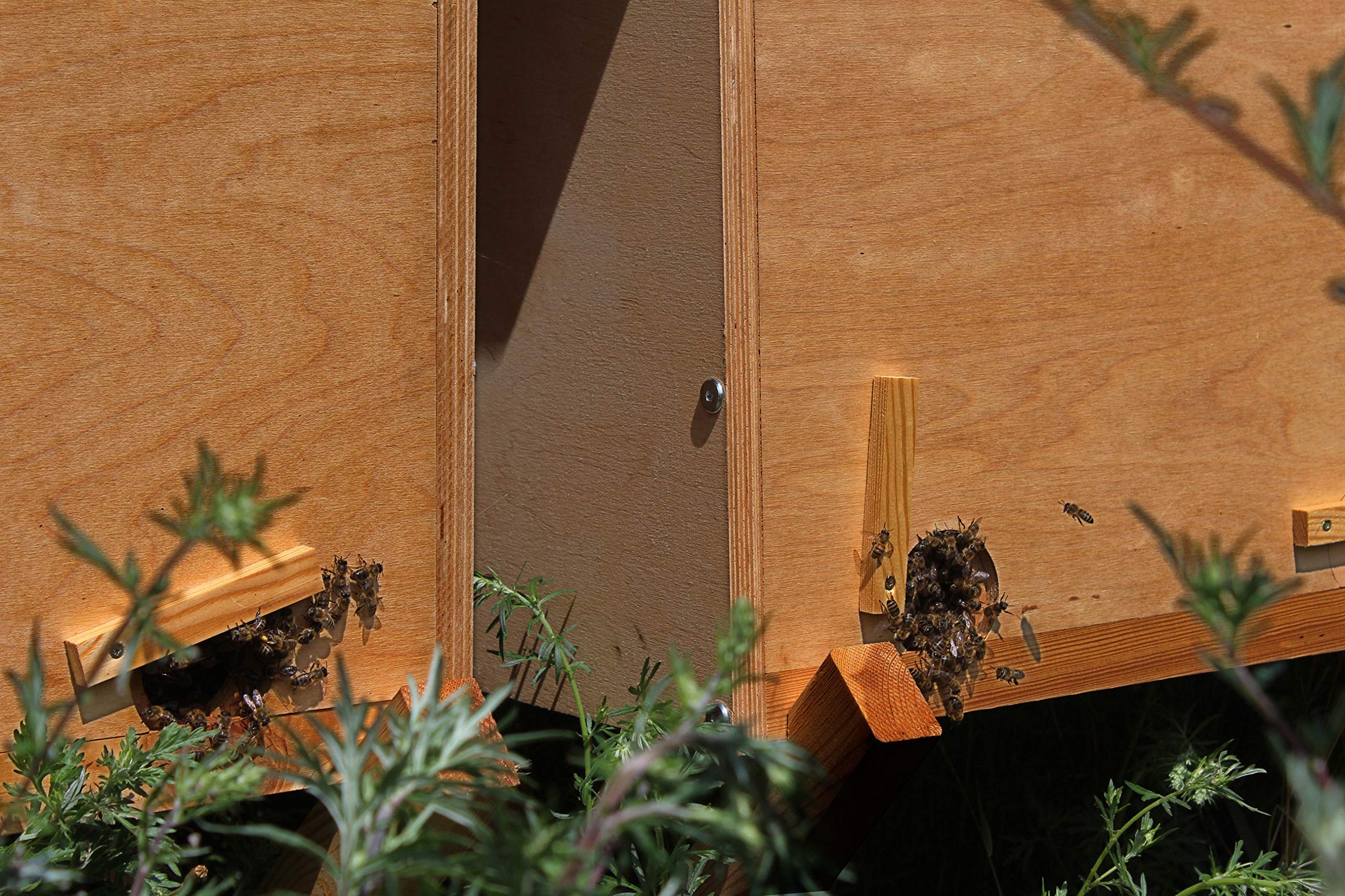 LUXUS-INSEKTENHOTELS Einraumbeute Massivholz Hobby-Imkerei - Honig-Bienen halten - Wesensgemäße Bienenhaltung für die eigene Honigernte - Imkerzubehör - 87 x 55 x 99 cm - Braun
