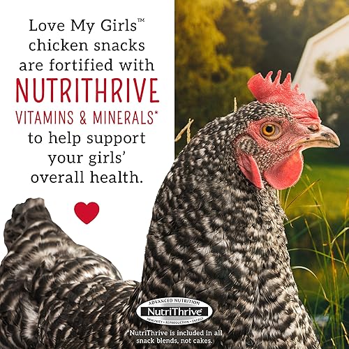 Love My Girls: Chicken Snacks - Pumpkin & Worms - 2lb Bag - Global Harvest, Gourmet Multi-Grain Treats, Corn-Free, Nutritious & Protein Rich Mealworms(Pumpkin & Worms,1 pack)