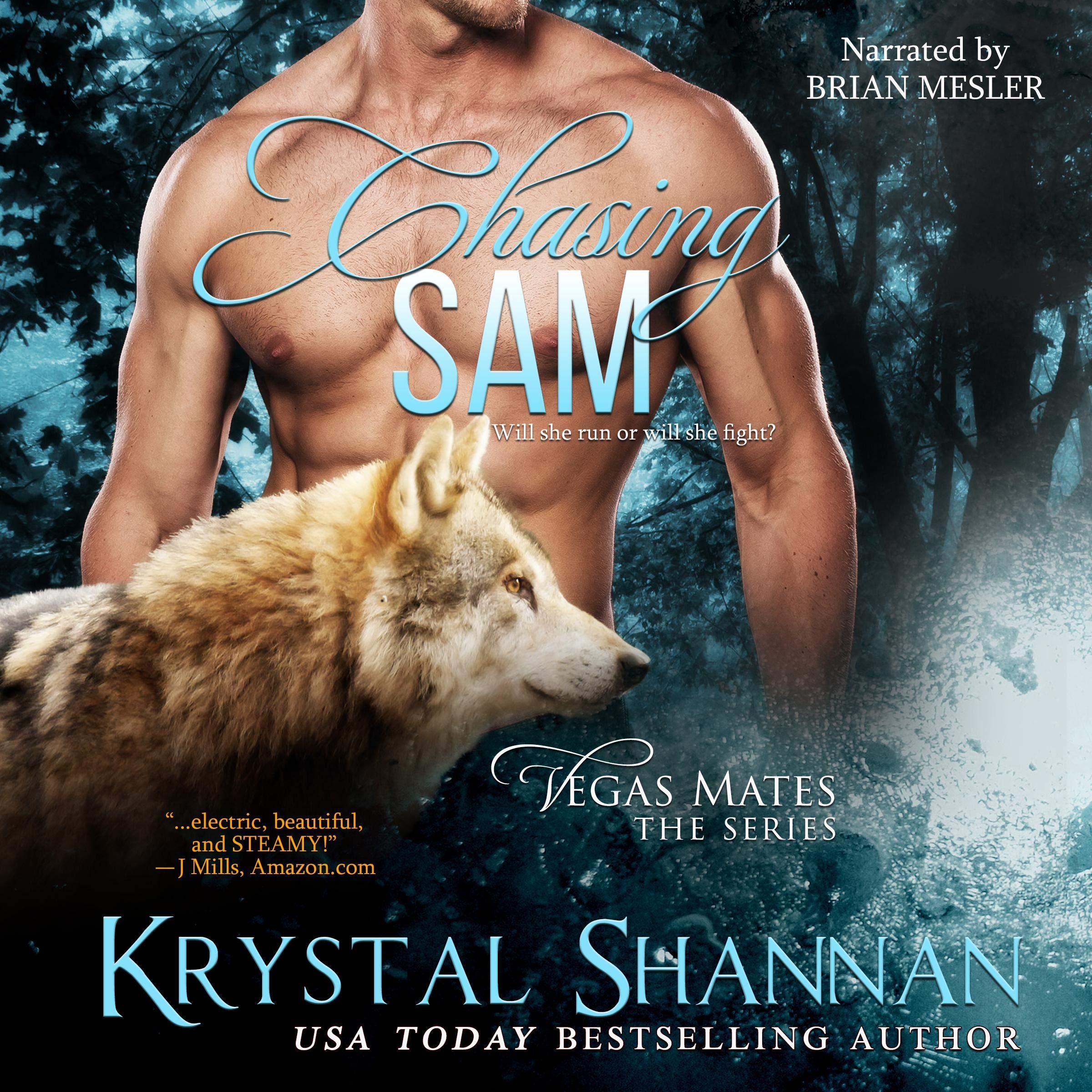 Cover art for Chasing Sam