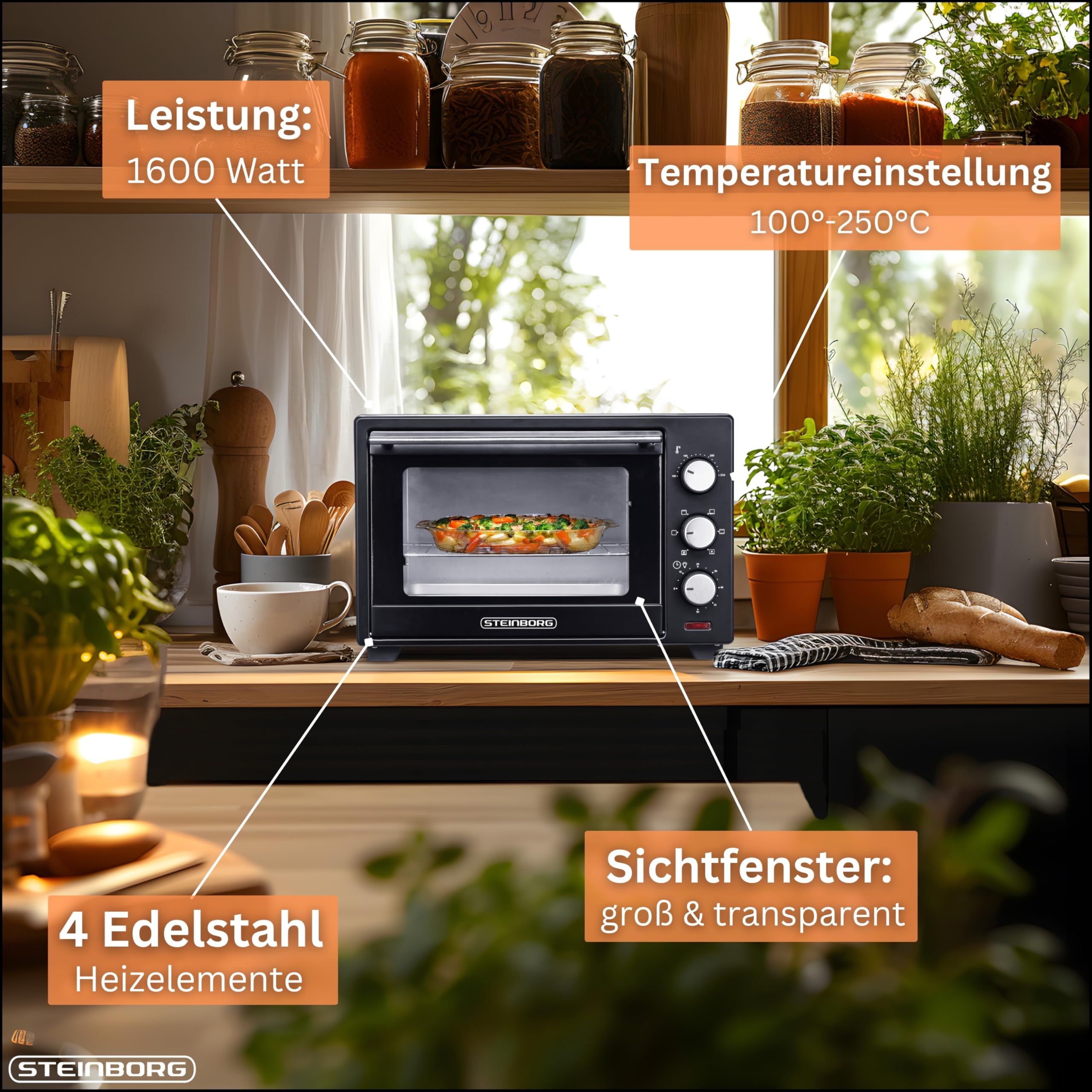 STEInBORG Mini Backofen 25 Liter | Pizza-Ofen | 3in1 Backofen | Minibackofen | Miniofen | Krümelblech | Ober-/Unterhitze | Konvektion | 60 minTimer | 1.600 Watt