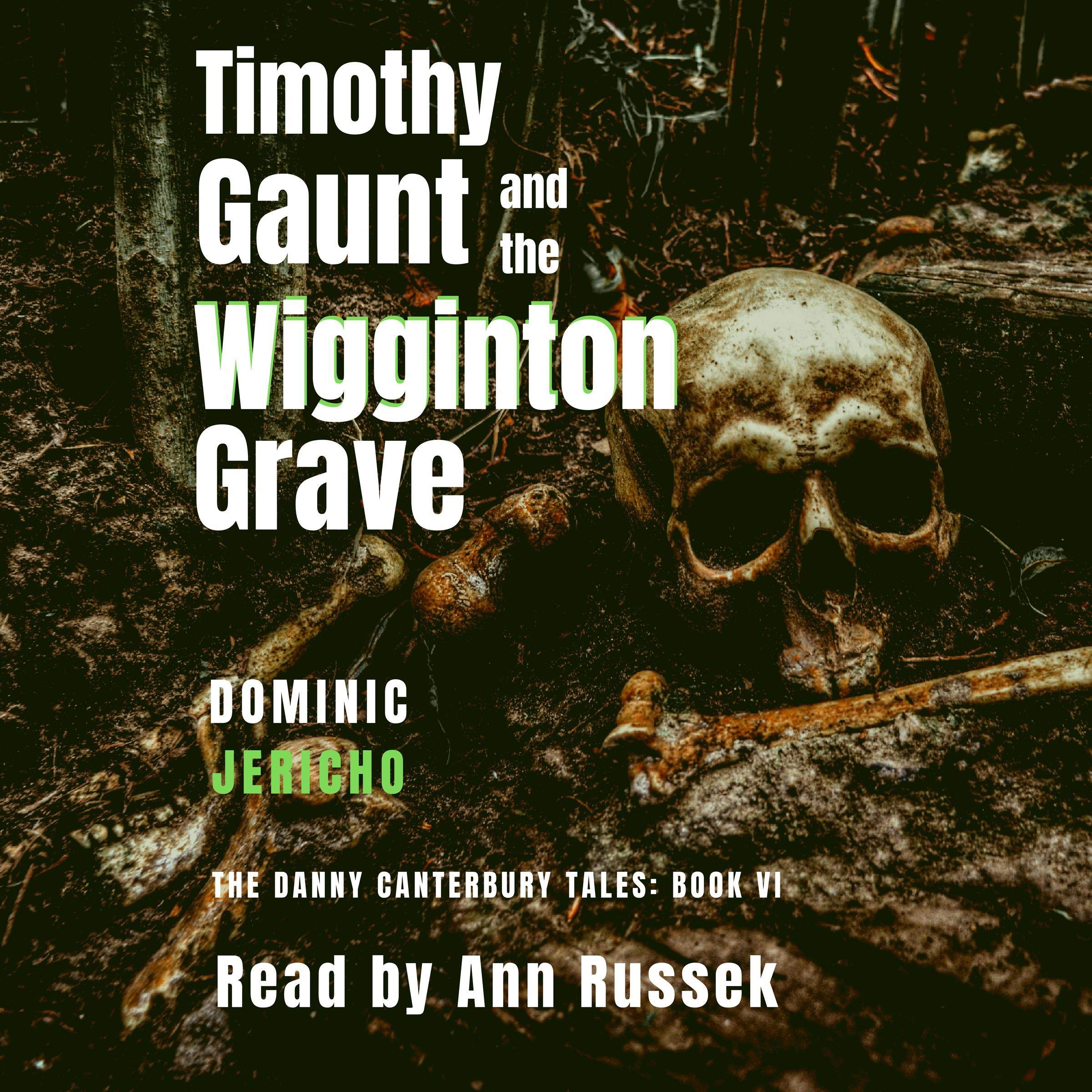 Cover art for Timothy Gaunt and the Wigginton Grave