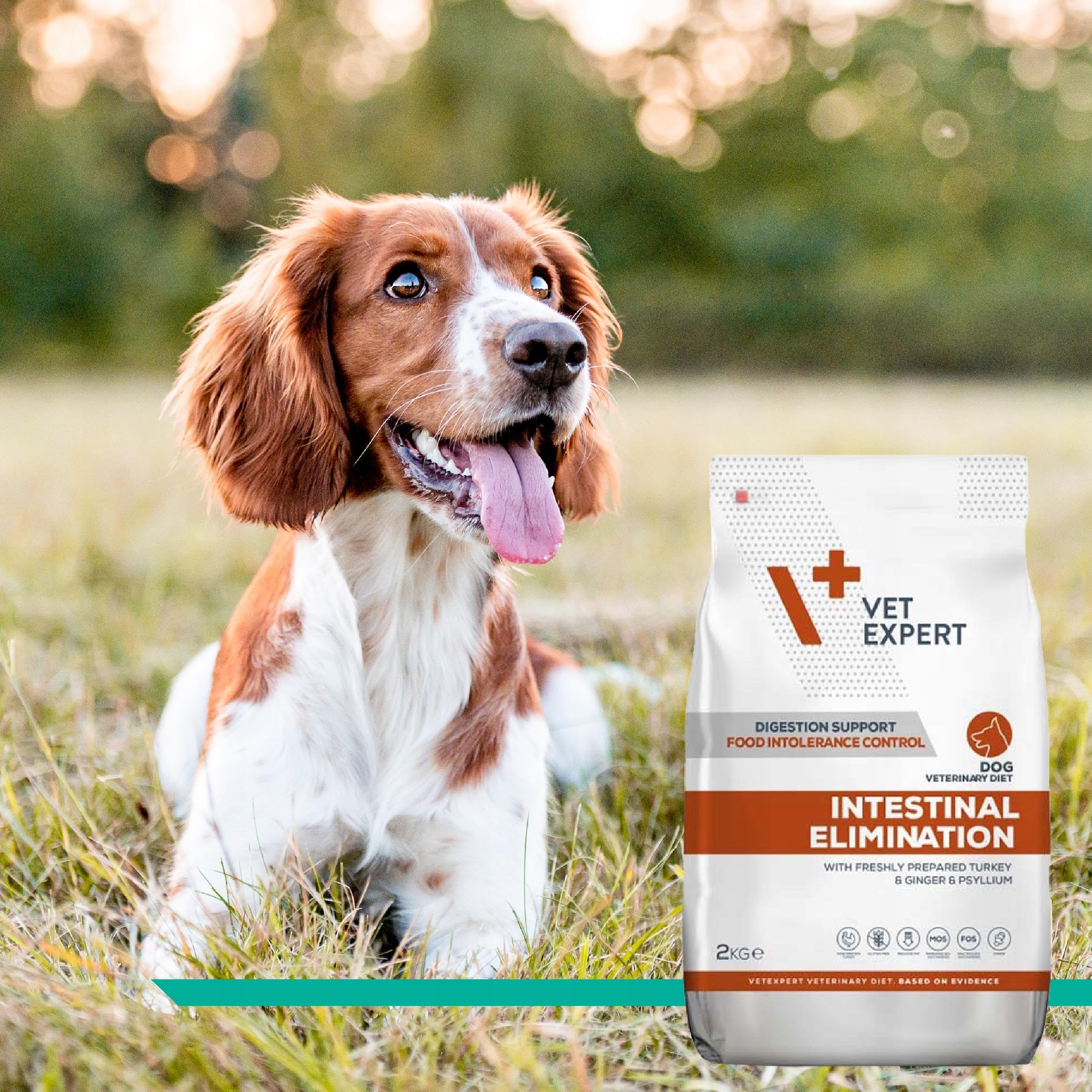 VET EXPERT INTESTINAL ELIMINATION DOG 12 kg - sucha karma weterynaryjna dla psów z zaburzeniami trawienia i wchłaniania oraz dieta eliminacyjna
