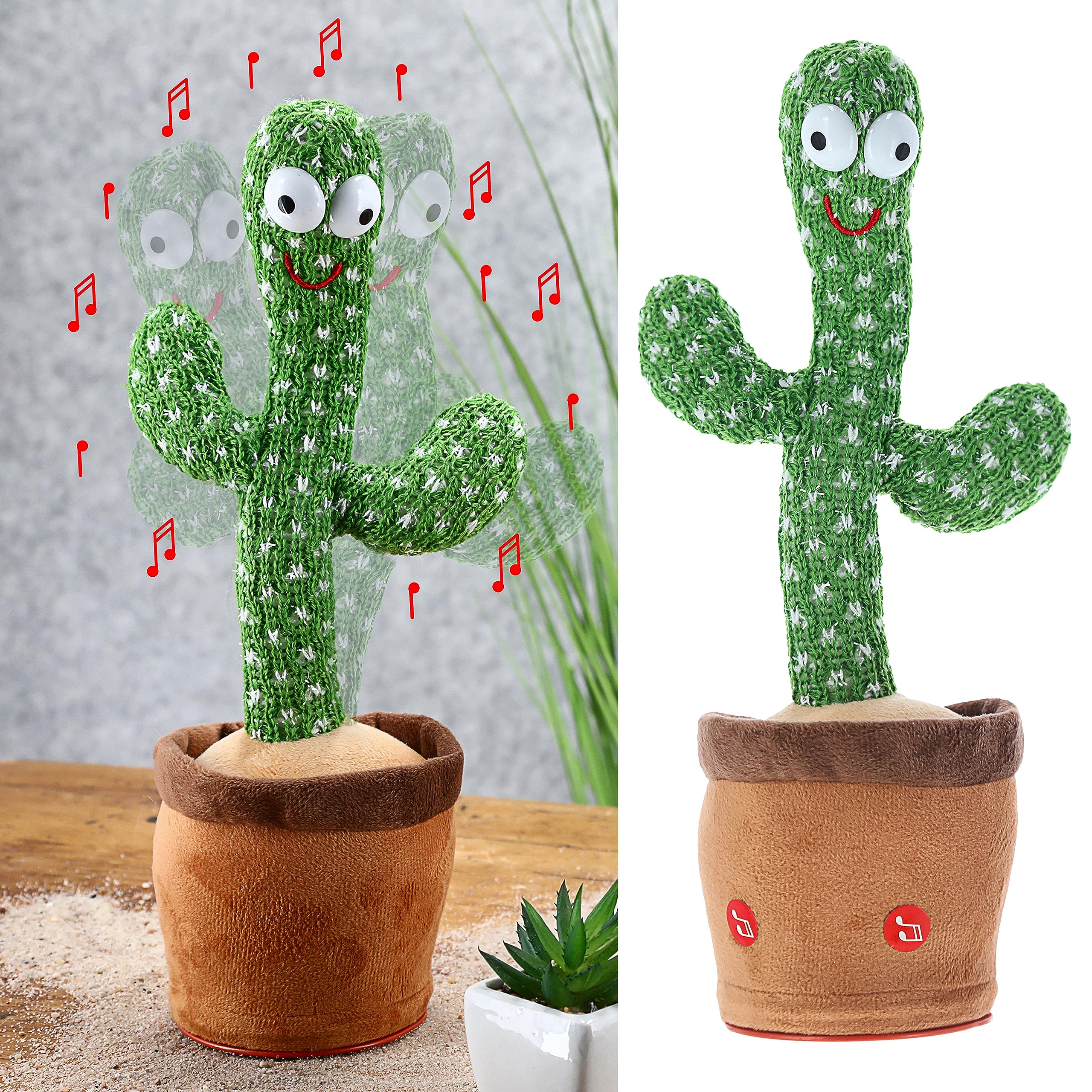 ja nein gummibaum Gummibaum XL
