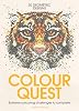 Colour Quest®: Extreme Colouring Challenges to Complete: 1 Paperback – 12 May 2016