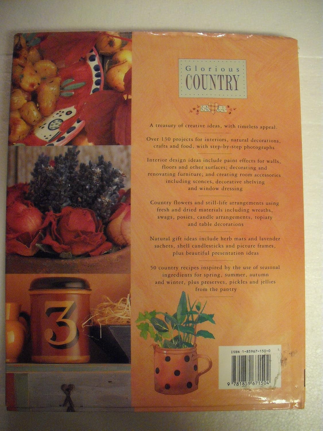 Glorious Country: Food Crafts Decorating