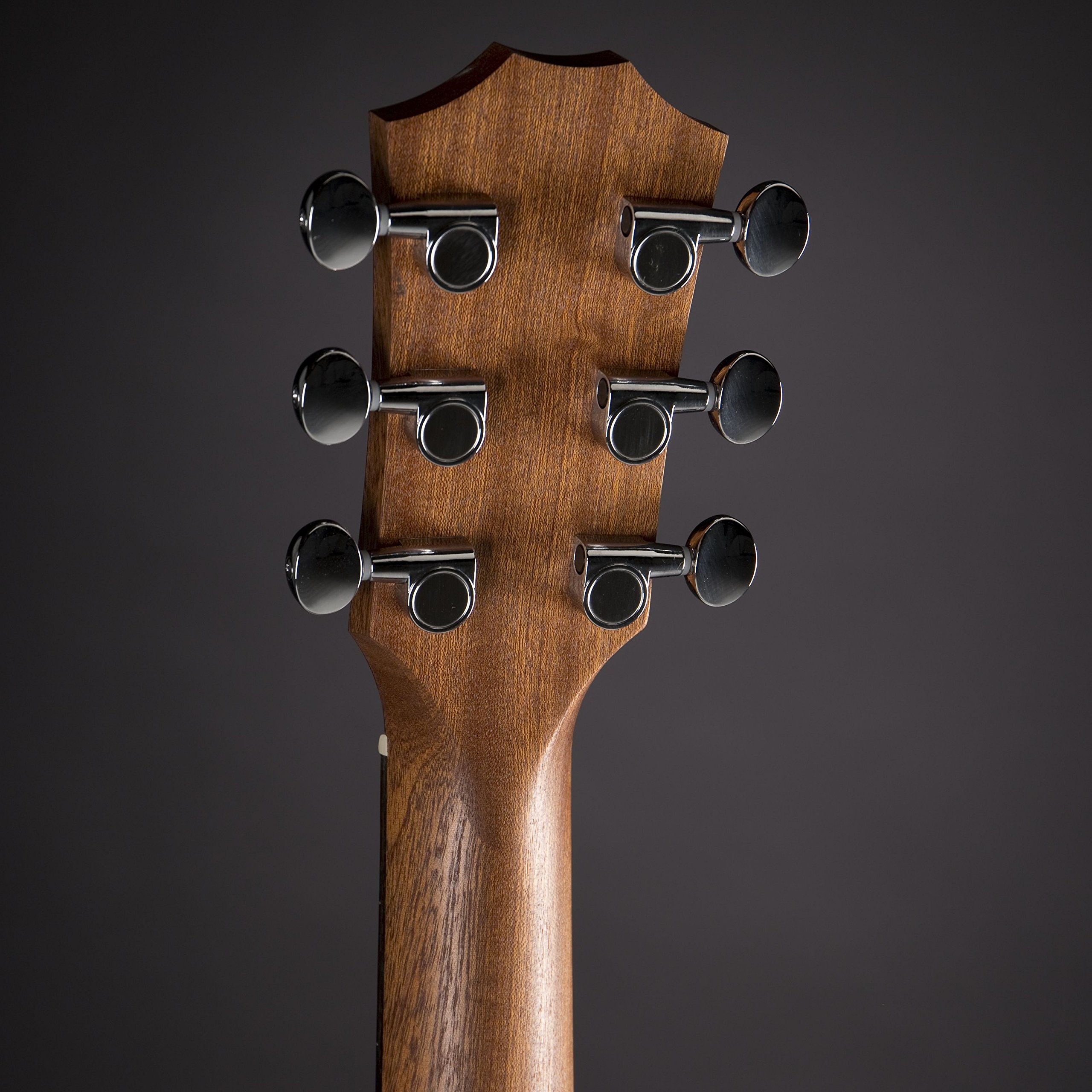 Taylor GS, Chitarra acustica, Mini