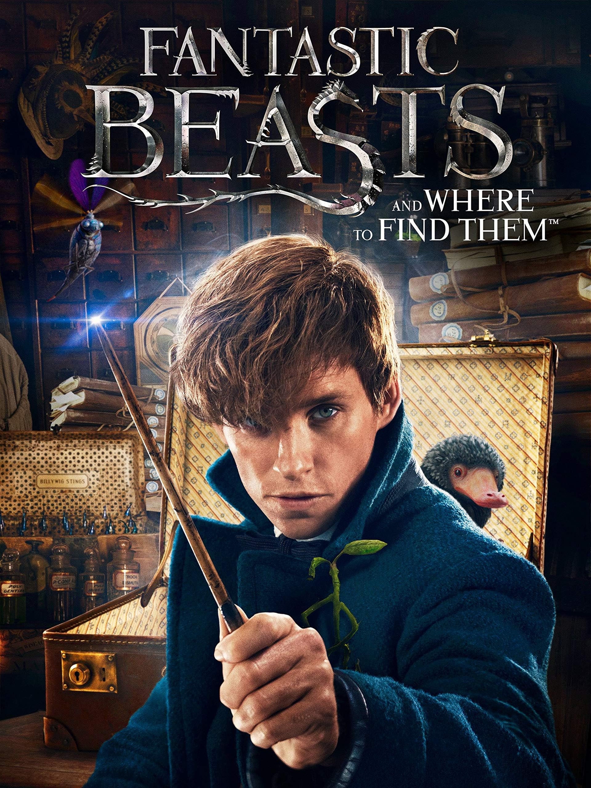 Fantastic Beasts and Where to Find Them (DVD)