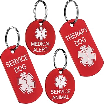 Providence Engraving 2 Personalized Medical Alert ID Tags - Set of 2, Engraved for Therapy Dogs, Therapy Animals, Service Dogs and Animals