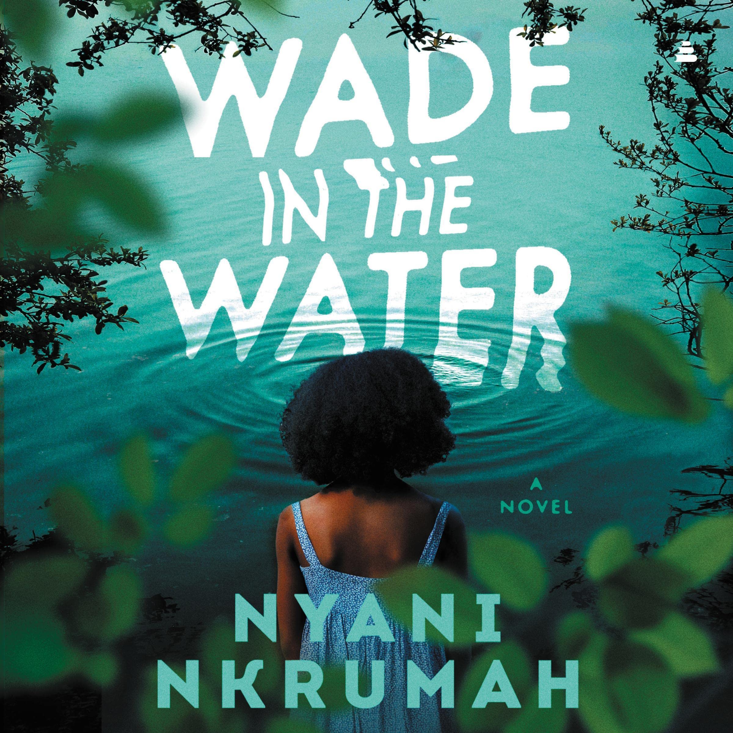 Cover art for Wade in the Water
