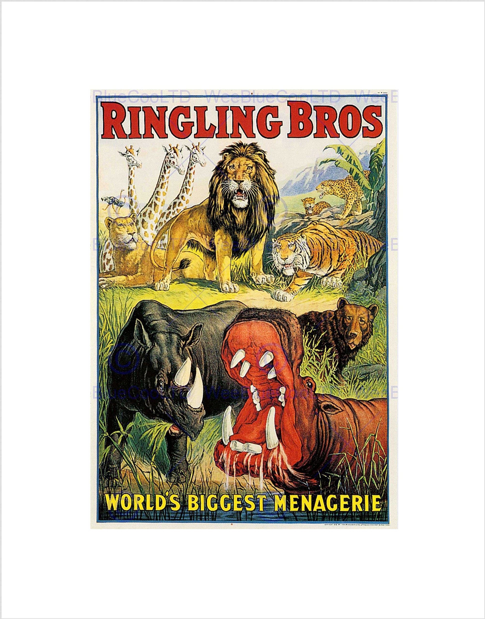 Wee Blue Coo Ad Circus Ringling Bros Lion Hippo Rhino Menagerie Wall Art Print