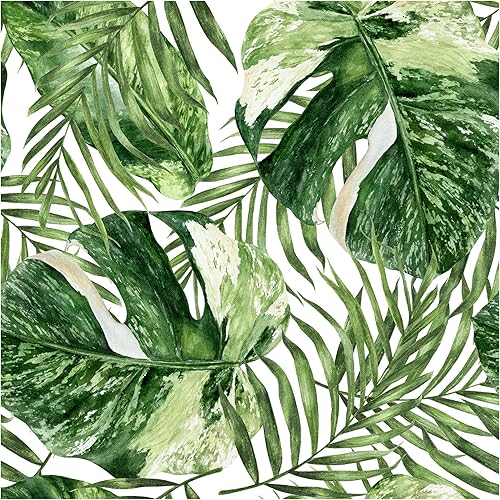 Blooming Wall DPYA27 - Papel tapiz removible de hojas de Monstera de color verde y blanco fresco, autoadhesivo, extraíble, decoración de pared