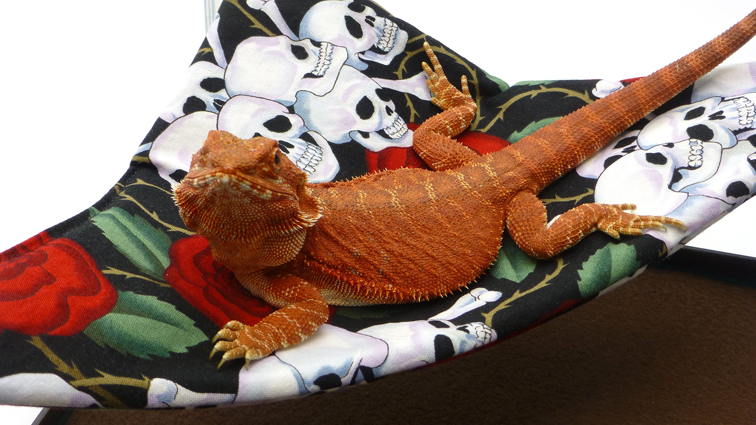 Mini-Hammock For Bearded Dragons, Skulls And Roses Fabric With Suction Cup Hooks