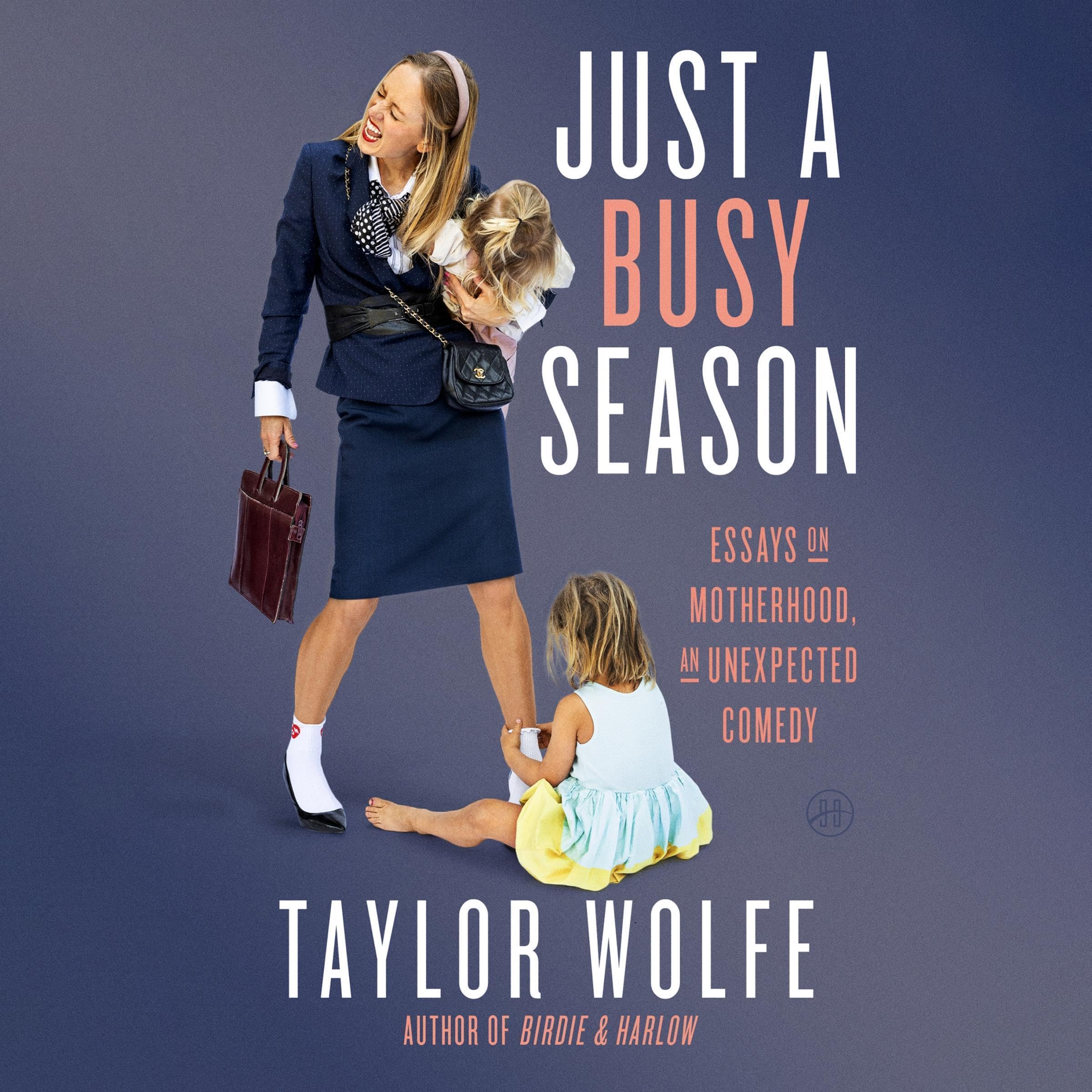 Cover art for Just a Busy Season