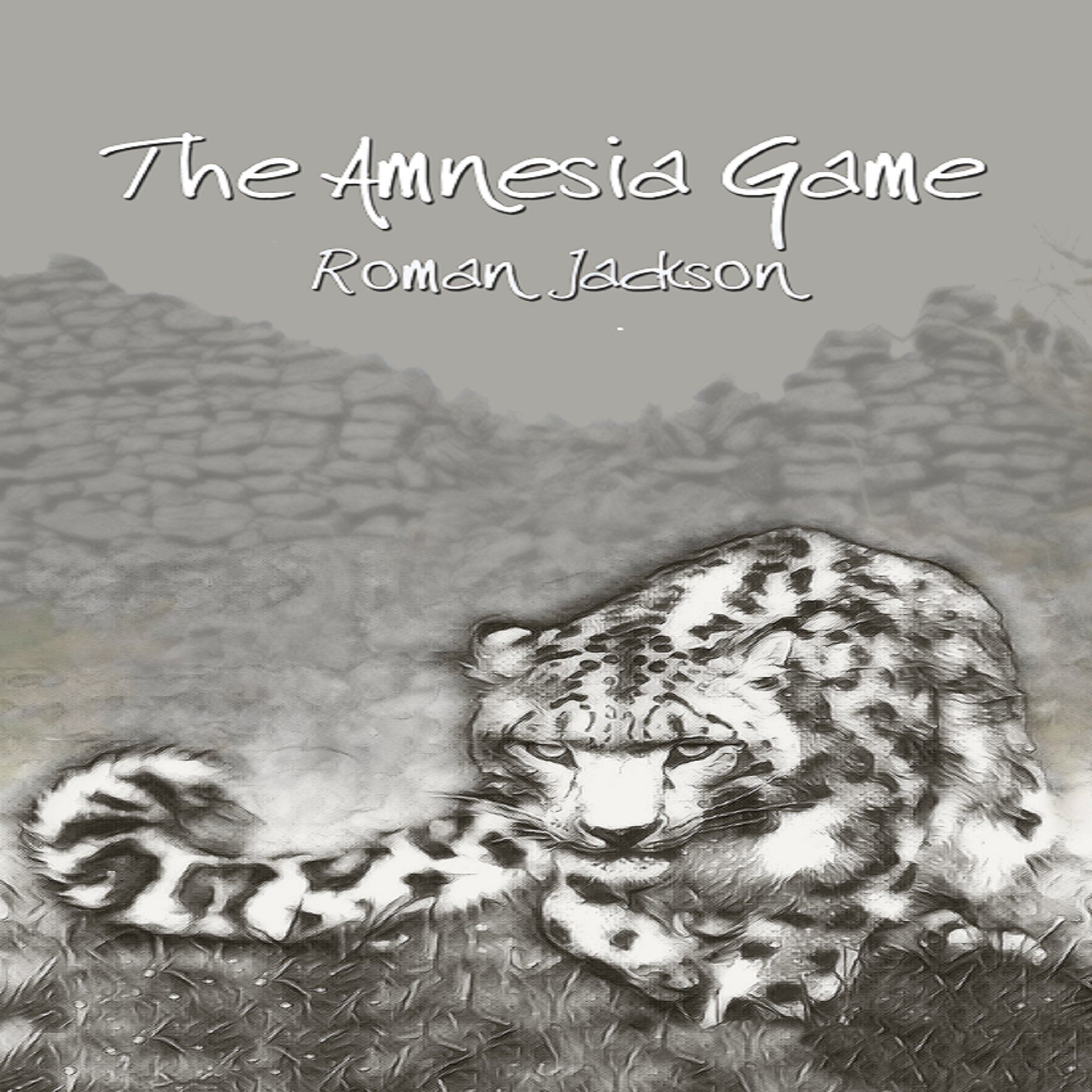 Cover art for The Amnesia Game
