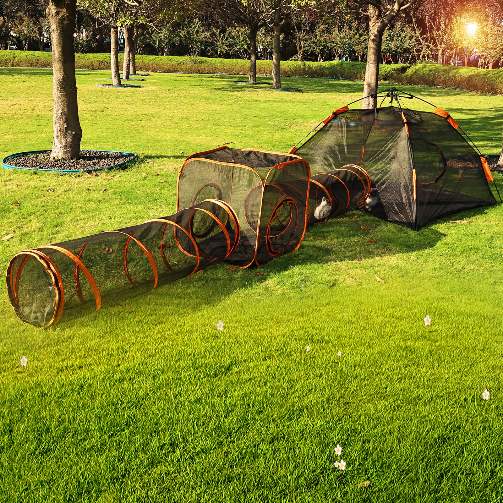 Mole Bean Outdoor Cat Enclosures,4in1 Foldable Cat Tent with Tunnel