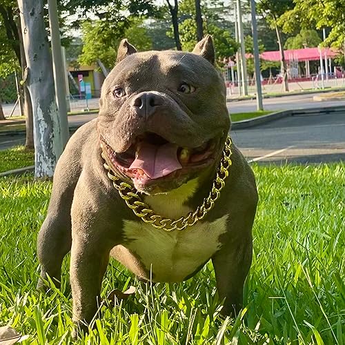 Miniatura 2 de Collar de cadena de oro para perro, collar de cadena de metal de 18 quilates, collar de perro con eslabones cubanos con diseño de hebilla segura