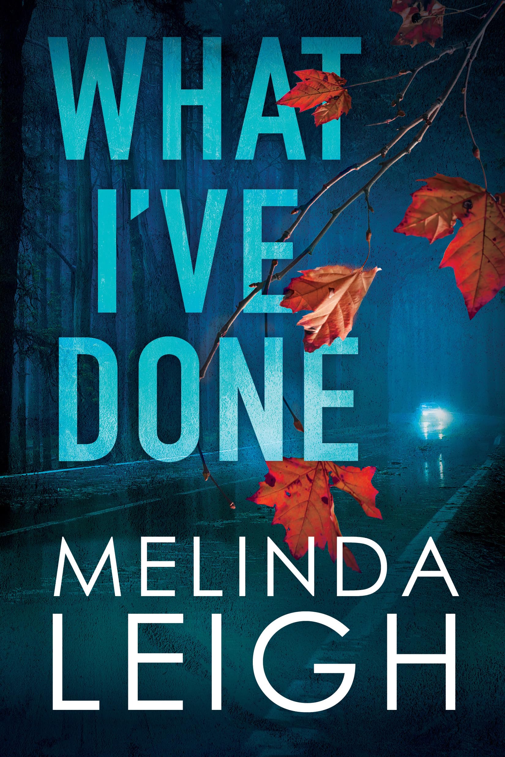 What Ive Done Paperback Contemporary Womens Fiction Romance Literary Novel
