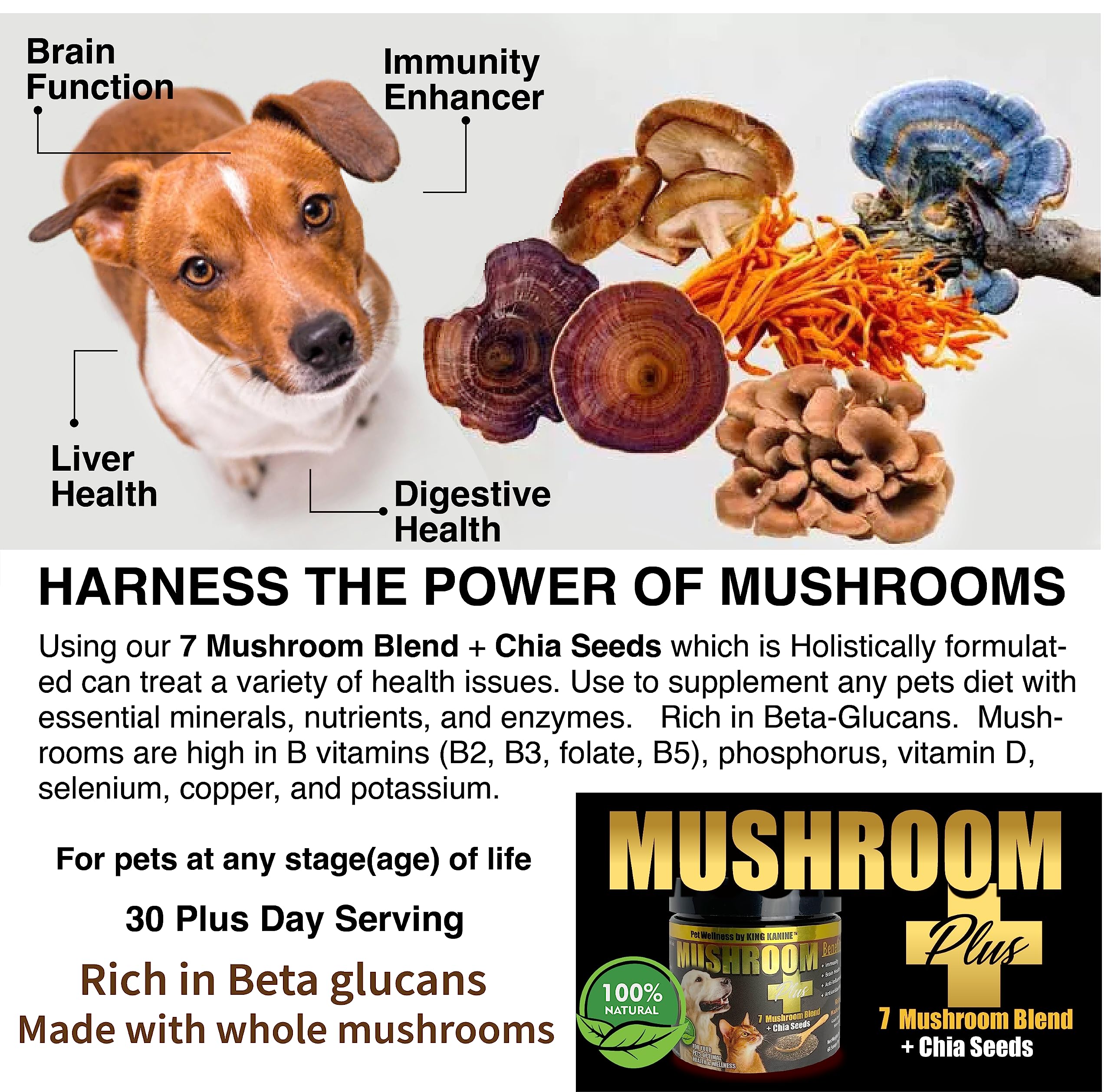 What Are The Benefits Of Chia Seeds For Dogs