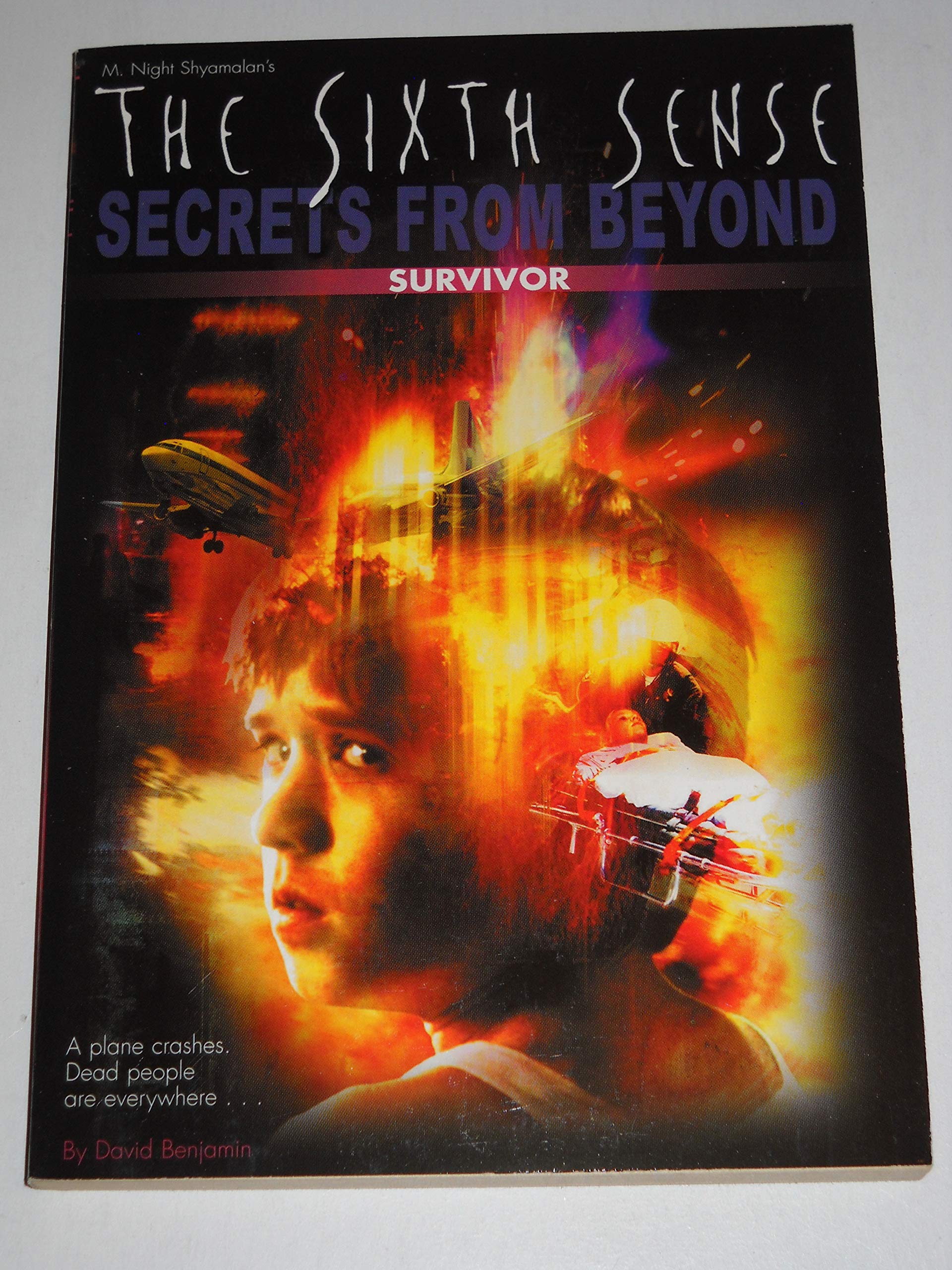 Buy Secrets From Beyond Survivor (The Sixth Sense) — BookShops.in