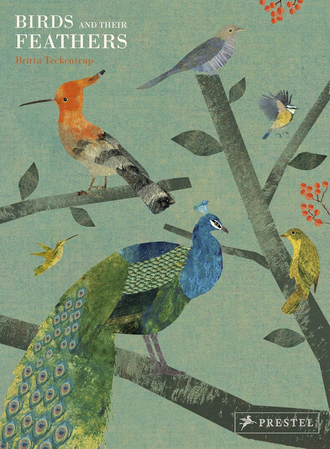 Birds and Their Feathers      Hardcover – June 5, 2018